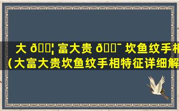 大 🐦 富大贵 🐯 坎鱼纹手相（大富大贵坎鱼纹手相特征详细解析）